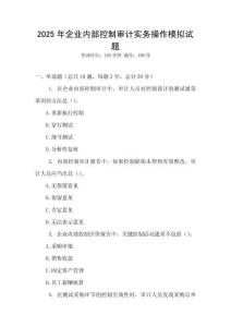 2025年企業內部控制審計實務操作模擬試題