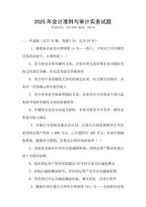 2025年會計準則與審計實務試題