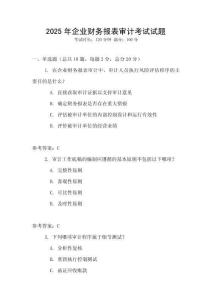 2025年企業財務報表審計考試試題