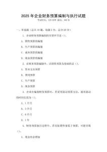 2025年企業財務預算編制與執行試題