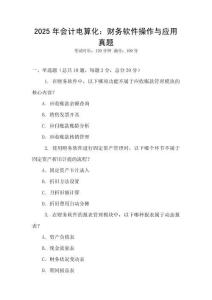 2025年会计电算化：财务软件操作与应用真题