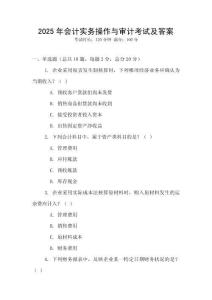 2025年會(huì)計(jì)實(shí)務(wù)操作與審計(jì)考試及答案