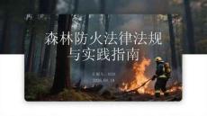 森林防火法律法规与实践指南