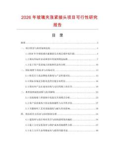 2026年玻璃夾漲緊接頭項目可行性研究報告