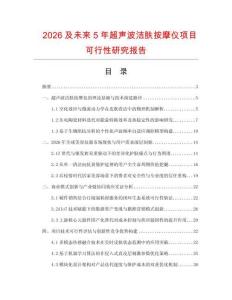 2026及未來5年超聲波潔膚按摩儀項(xiàng)目可行性研究報(bào)告