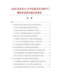 2026及未來5-10年壓緊式無內胎氣門嘴項目投資價值分析報告