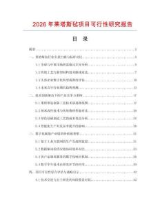 2026年萊塔斯氈項(xiàng)目可行性研究報(bào)告