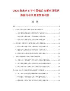 2026及未來5年中國鏡片夾簧市場現狀數據分析及前景預測報告