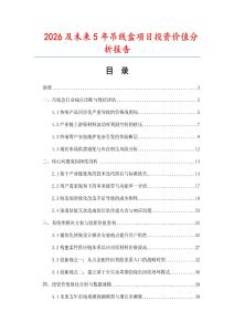 2026及未來5年吊線盒項目投資價值分析報告