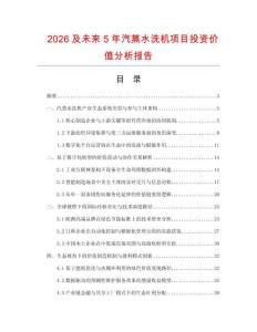 2026及未來5年汽蒸水洗機項目投資價值分析報告