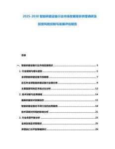2025-2030智能研磨設備行業市場發展現狀供需調研及投資風險控制與發展評估報告