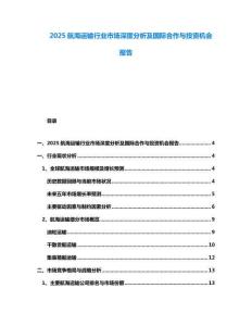 2025航海運輸行業(yè)市場深度分析及國際合作與投資機會報告