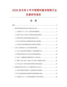 2026及未來5年中國塑料童涼拖鞋行業發展研究報告