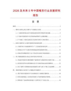 2026及未來5年中國錐形行業(yè)發(fā)展研究報(bào)告