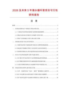 2026及未來5年海水循環泵項目可行性研究報告