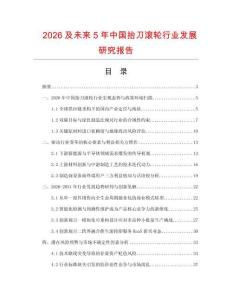 2026及未來5年中國抬刀滾輪行業(yè)發(fā)展研究報告