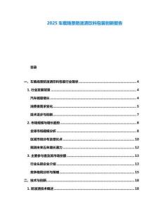 2025車載場景防潑灑飲料包裝創(chuàng)新報告