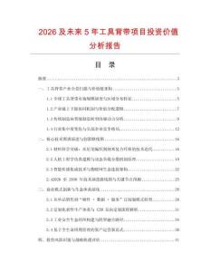 2026及未來5年工具背帶項目投資價值分析報告