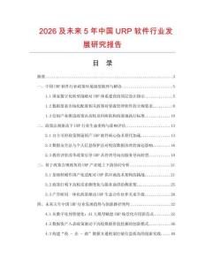 2026及未來5年中國URP軟件行業發展研究報告