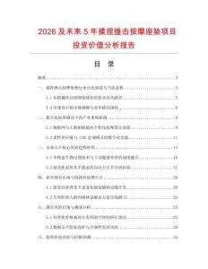 2026及未來5年揉捏捶擊按摩座墊項目投資價值分析報告