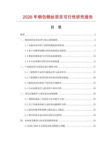 2026年鋼包鋼絲項目可行性研究報告