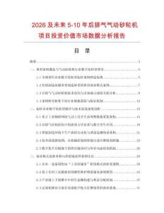 2026及未來5-10年后排氣氣動砂輪機(jī)項目投資價值市場數(shù)據(jù)分析報告