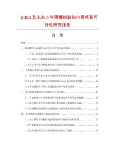 2026及未来5年隔爆铠装热电偶项目可行性研究报告