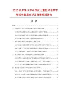 2026及未來(lái)5年中國(guó)拉力重型打包帶市場(chǎng)現(xiàn)狀數(shù)據(jù)分析及前景預(yù)測(cè)報(bào)告