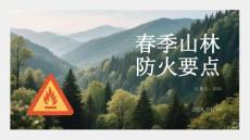 春季山林防火要點