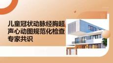兒童冠狀動脈經胸超聲心動圖規范化檢查專家共識