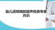 胎兒透明隔腔超聲檢查專家共識