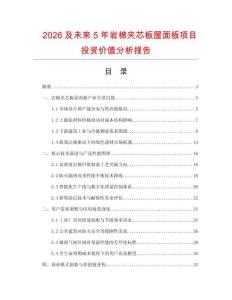 2026及未來5年巖棉夾芯板屋面板項目投資價值分析報告
