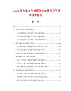 2026及未來5年錐形彈性墊圈項目可行性研究報告