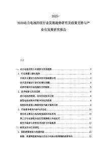 2025-2030動力電池回收行業發展趨勢研究及政策支持與產業化發展研究報告