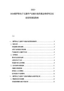 2025-2030俄羅斯電子元器件產(chǎn)業(yè)鏈?zhǔn)袌?chǎng)供需態(tài)勢(shì)研判及實(shí)業(yè)投資規(guī)劃指南