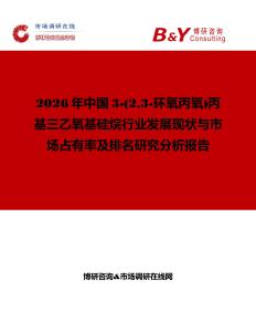 2026年中國3-(23-環氧丙氧)丙基三乙氧基硅烷行業發展現狀與市場占有率及排名研究分析報告