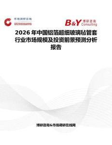 2026年中國鋁箔超細(xì)玻璃氈管套行業(yè)市場規(guī)模及投資前景預(yù)測分析報告