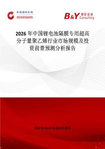 2026年中國鋰電池隔膜專用超高分子量聚乙烯行業市場規模及投資前景預測分析報告