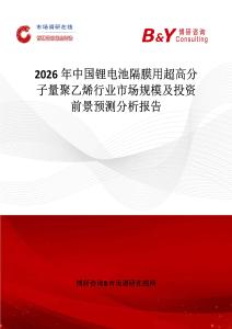 2026年中國鋰電池隔膜用超高分子量聚乙烯行業市場規模及投資前景預測分析報告
