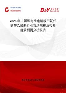 2026年中國鋰電池電解液用氟代碳酸乙烯酯行業市場規模及投資前景預測分析報告