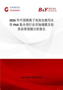 2026年中國鋰離子電池電極用水性PAA粘合劑行業市場規模及投資前景預測分析報告