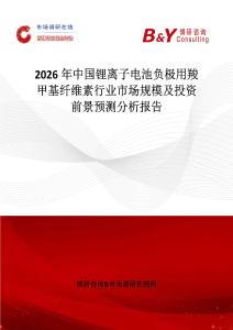 2026年中國鋰離子電池負極用羧甲基纖維素行業市場規模及投資前景預測分析報告
