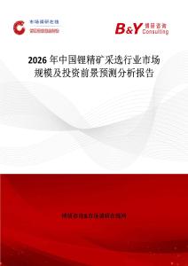 2026年中國鋰精礦采選行業(yè)市場規(guī)模及投資前景預(yù)測分析報告