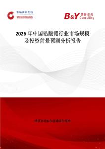 2026年中國鋯酸鍶行業市場規模及投資前景預測分析報告
