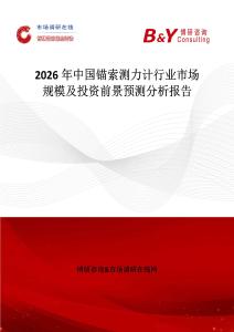 2026年中國錨索測力計行業(yè)市場規(guī)模及投資前景預(yù)測分析報告