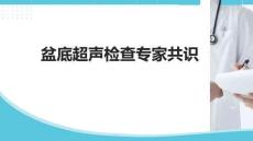 盆底超聲檢查中國專家共識