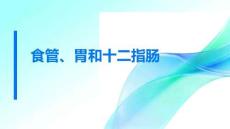 食管、胃和十二指腸