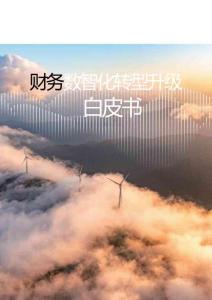 2026年财务数智化转型升级白皮书