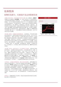 寵物醫院報告：從激進擴張走到穩健發展