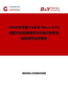 2026年中國USB轉Micro USB線纜行業發展現狀與市場占有率及排名研究分析報告